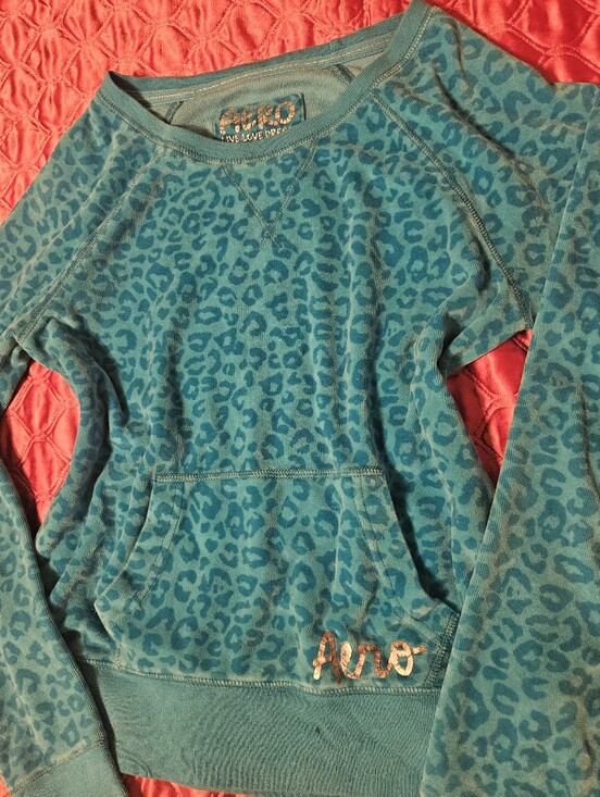 Aeropostale Sweaters - 2010's Aeropostale Fall Teal Leopard Print  Pullover